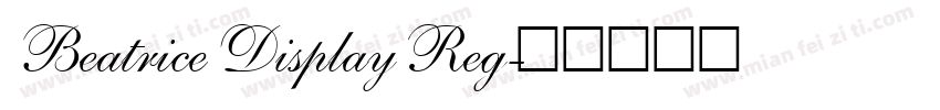 Beatrice Display Reg字体转换